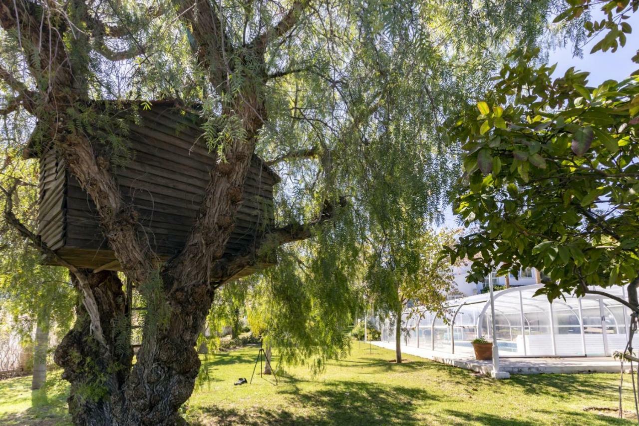 Villa Tocororo En Pinos De Alhaurin Alhaurín de la Torre Екстериор снимка